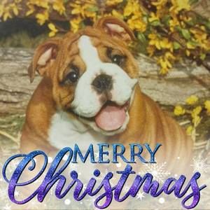 Meet your Posher, Janet